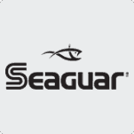 Seaguard Logo