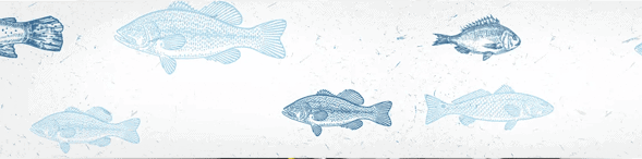 fishbite-bait-cover-img fishbite-bait-cover-img