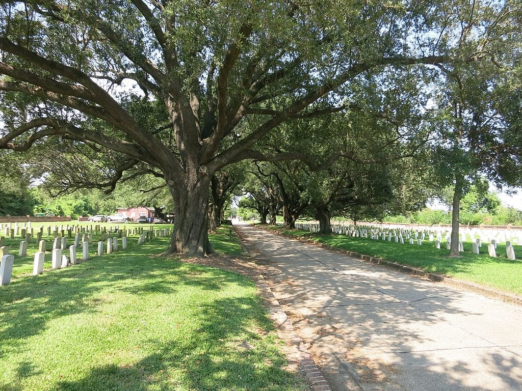 Chalmette National Cemetery in New Orleans