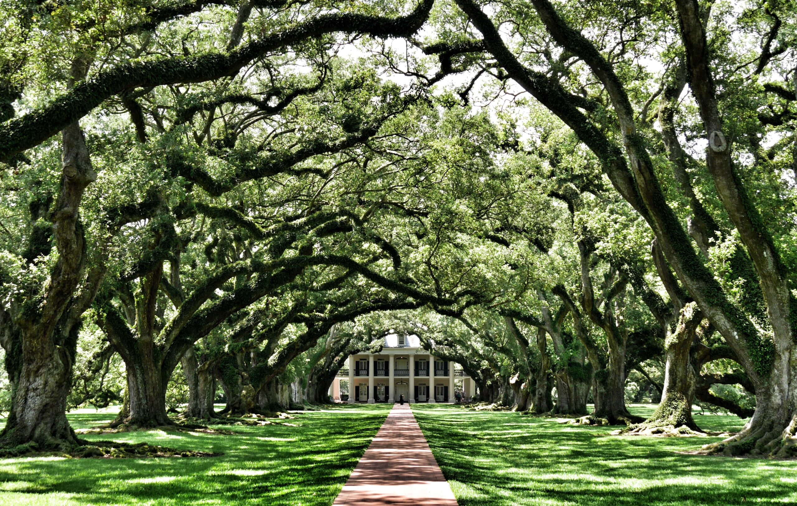 Plantation City Tour in New Orleans