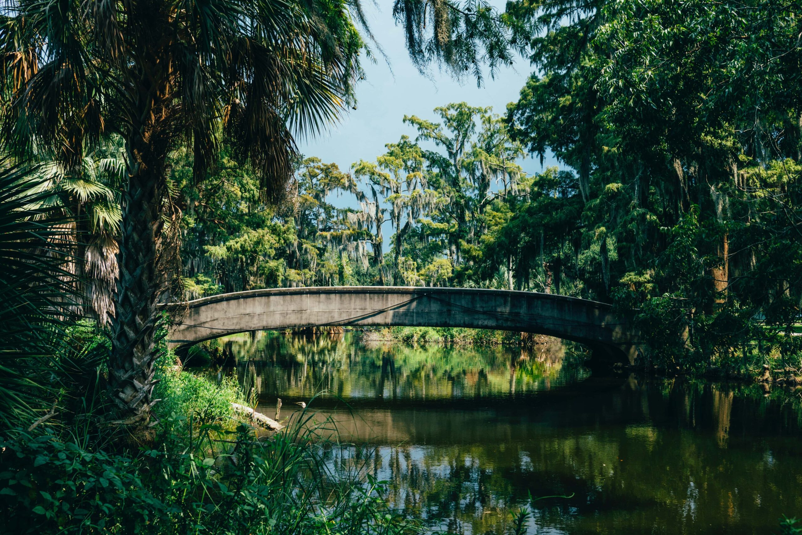 Bridge in a Wildlife Site in New Orleans 