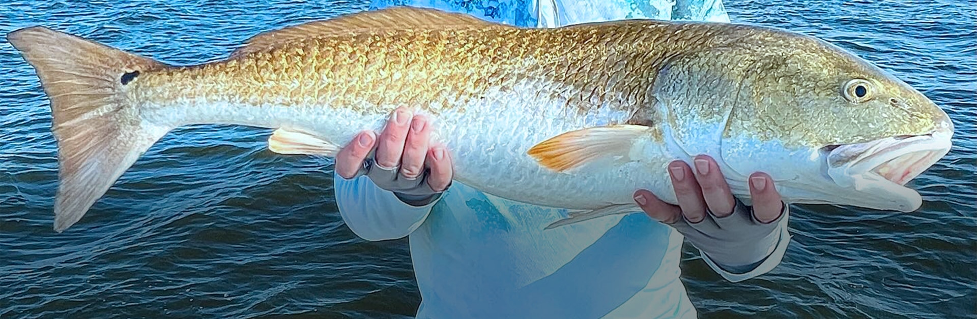 bull-red-fishing-banner-img-v2