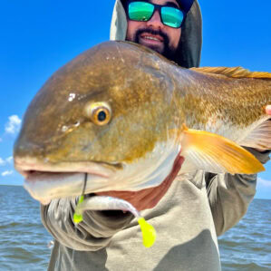 Catch-and-Release Tips to Keep Fish Thriving in Marshes