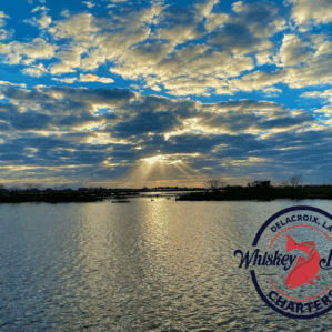 Experience Venice, LA: The Bull Redfish Capital of Louisiana
