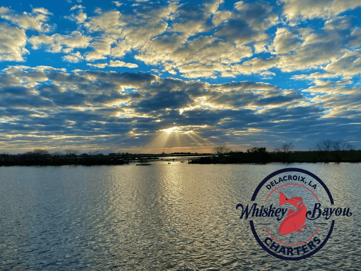 Coastal marsh at sunrise. Scattered white clouds pattern the blue backdrop of the sky. Yellow rays of sunlight streak down from the clouds towards the calm water.