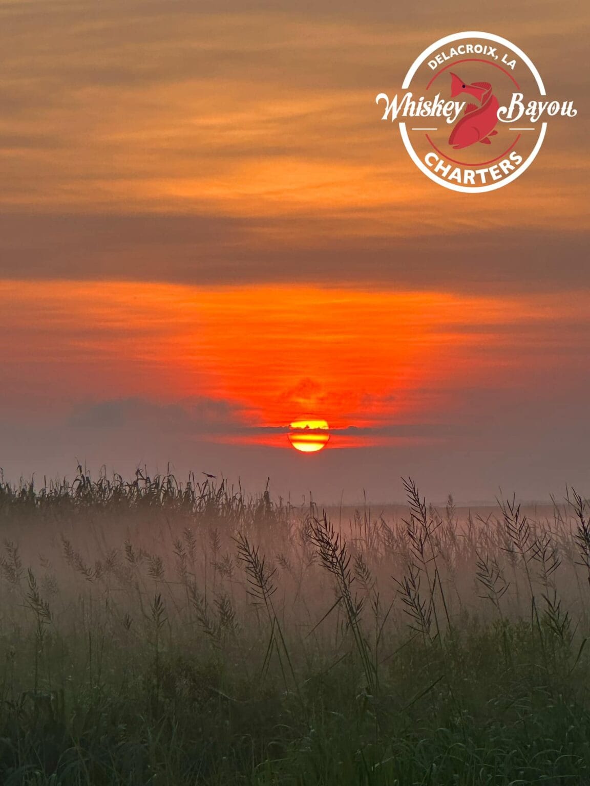 A small yellow sun setting over the marsh, painting the surrounding sky orange as it dips down towards the tall and misty reeds in the foreground,