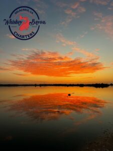 Image of a beautiful clouds over the Louisiana march painted orange by the early sunrise.